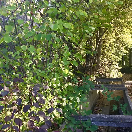 La Forge De Diogne - Luxury And Cosy Alpine 4* Crans-Montana