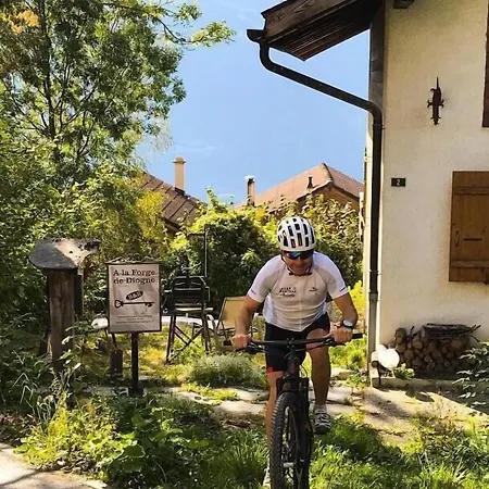 לינה וארוחת בוקר La Forge De Diogne - Luxury And Cosy B&B Alpine Lodge קראנס-מונטנה