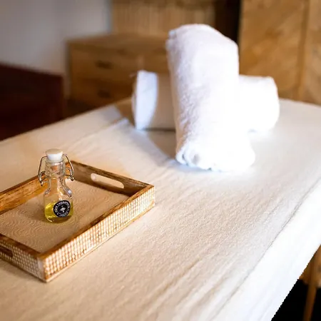 La Forge De Diogne - Luxury And Cosy B&B Alpine Lodge 4* קראנס-מונטנה