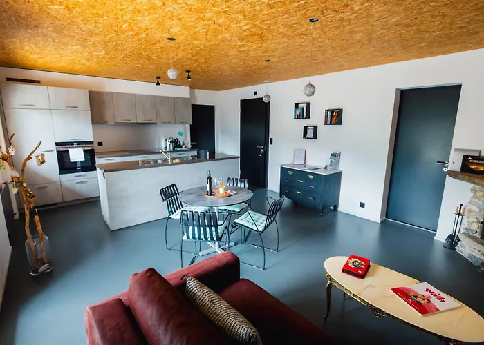 La Forge De Diogne - Luxury And Cosy Alpine 克莱恩 蒙塔纳