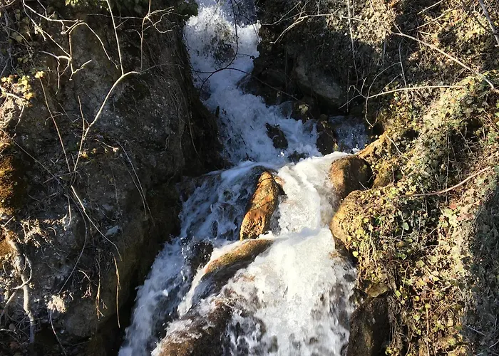 La Forge De Diogne - Luxury And Cosy Alpine 住宿加早餐酒店