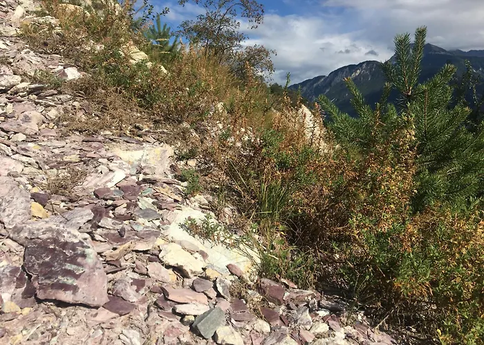 La Forge De Diogne - Luxury And Cosy Alpine Кран-Монтана