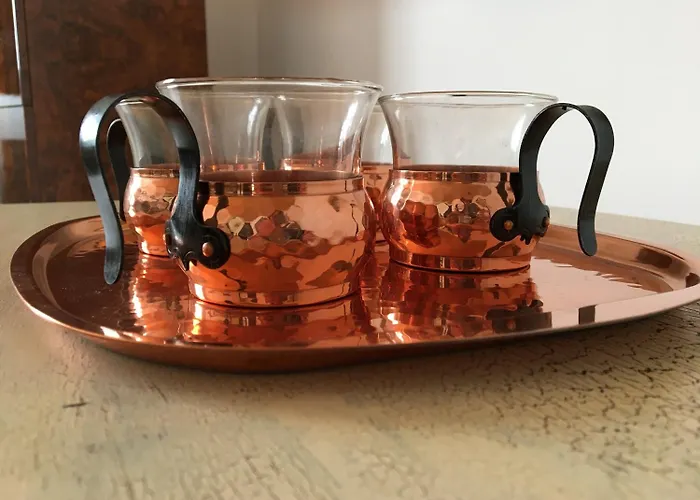 La Forge De Diogne - Luxury And Cosy Alpine 住宿加早餐酒店 克莱恩 蒙塔纳