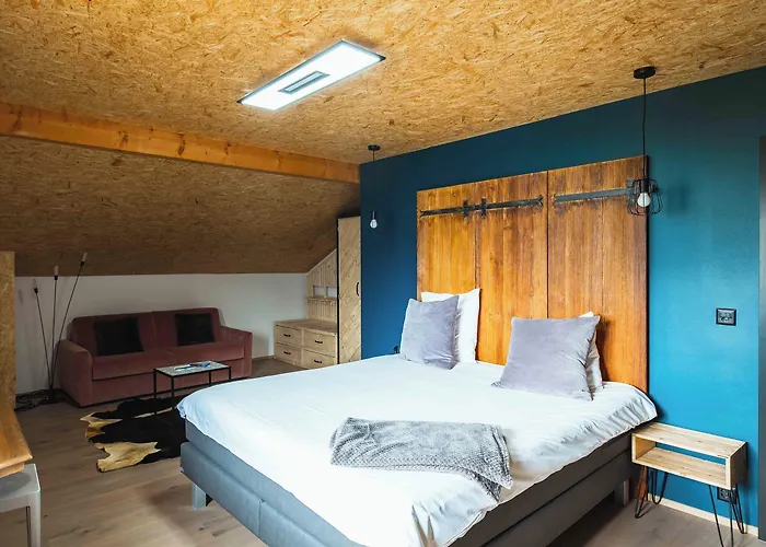 La Forge De Diogne - Luxury And Cosy Alpine 住宿加早餐酒店 4*