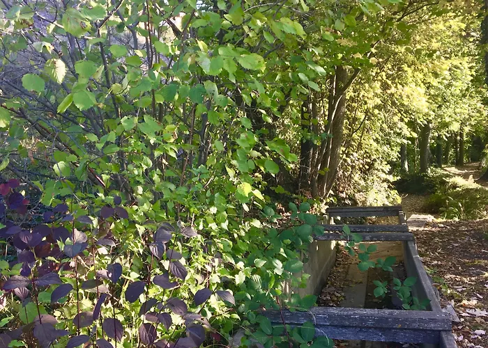 La Forge De Diogne - Luxury And Cosy Alpine 4* 克莱恩 蒙塔纳