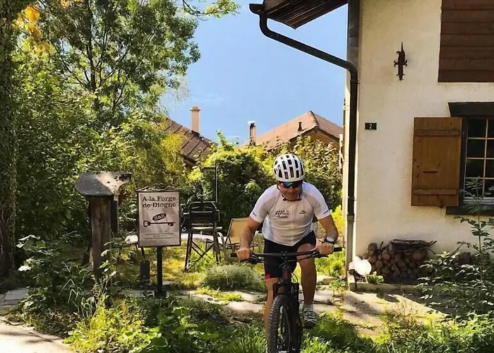 住宿加早餐酒店 La Forge De Diogne - Luxury And Cosy Alpine 克莱恩 蒙塔纳