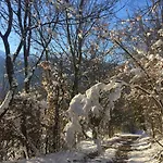 La Forge De Diogne - Luxury And Cosy Alpine 4* Crans-Montana