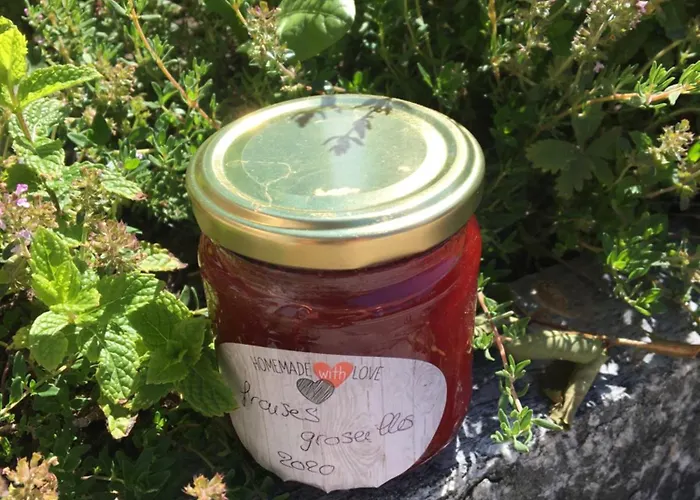 La Forge De Diogne - Luxury And Cosy Alpine